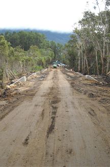 june july yarrabah 551